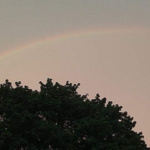 Meet your Posher, Chantelle